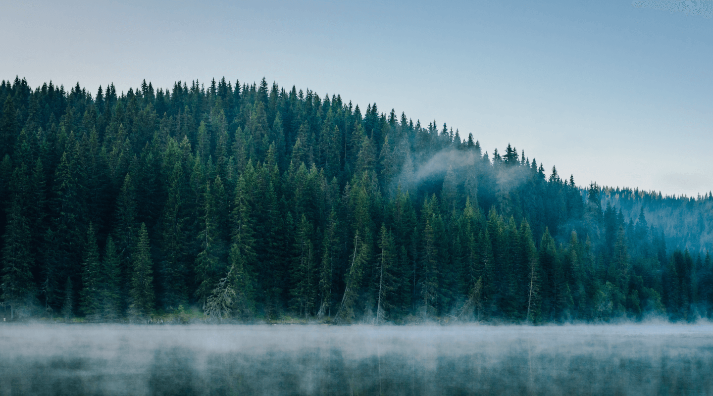 Our Products &amp; Capabilities